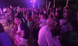 新春瑞灯爆料视频,视频爆料带你领略传统与现代的完美融合